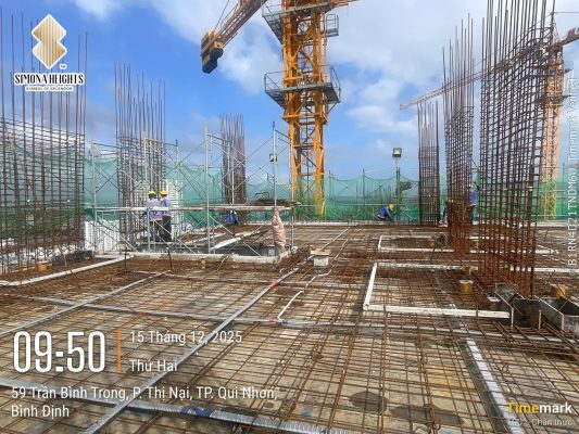 Tiến độ dự án Simona tháng 12 năm 2025